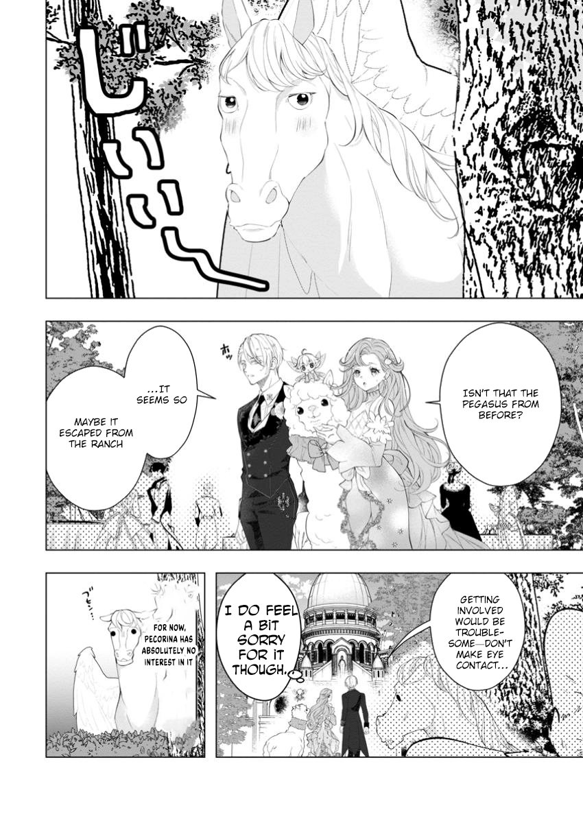 Cinderella’s Sister Became the Prince’s Bride, Living a Slow Life as the Stand-In Princess Chapter 23 Page 4